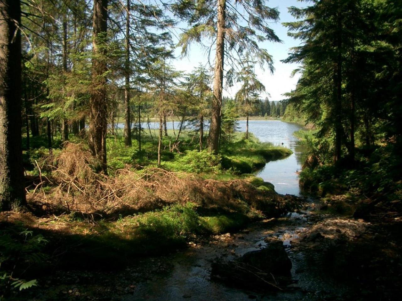 Ferienhof Ellerbeck Langdorf  Luaran gambar